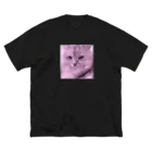 猫のきぬくんのお店のかっこいいきぬくん Big T-Shirt