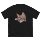 soraclaraの仔猫のくらら ビッグシルエットTシャツ
