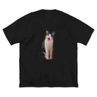 まさyo！のみけねこちぃちゃん ビッグシルエットTシャツ