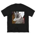 小圷のうちの猫 ビッグシルエットTシャツ