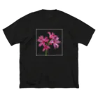 Sweetfishのネリネ ビッグシルエットTシャツ