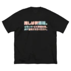 SANKAKU DESIGN STOREの推しは賽銭箱。 二次元向け/2C ビッグシルエットTシャツ