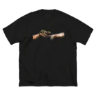 HermannStrasseのミケランジェロとフリンジヘラオヤモリ Big T-Shirt