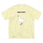ハナのお店の羽毛１００％ ビッグシルエットTシャツ