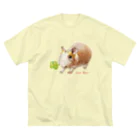 aNone sOnoneのスキニーギニアピッグ ビッグシルエットTシャツ