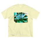 TFNTのエケベリア－TFNT Big T-Shirt