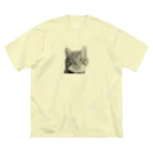 壁かべSHOP・SUZURI店のひょっこり猫さんハーフトーン ビッグシルエットTシャツ