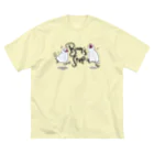 PLUME FACTORY☆  by”SakuraTangpoppo”のBUN's STEP Big T-Shirt