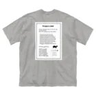 非ユークリッド幾何学を考える kodaisakanaのTragulidae Tag Big T-Shirt