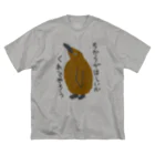 ミナミコアリクイ【のの】のちからをやろう【キングペンギンのヒナ】 ビッグシルエットTシャツ