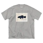 Serendipity -Scenery In One's Mind's Eye-のElassoma evergladei ビッグシルエットTシャツ