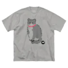 とべない熱帯魚のゆるねこ Big T-Shirt