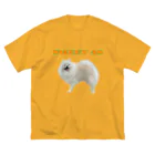 pom_pom_cawaii_dogのSweet as ビッグシルエットTシャツ