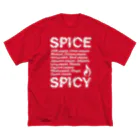 LONESOME TYPE ススのSPICE SPICY（White） Big T-Shirt