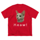 いきもの大好き！ほほえみフレンズのネコちゃん可愛い！ ビッグシルエットTシャツ