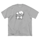 ぴーやまのミナミコアリクイの激しい威嚇 ビッグシルエットTシャツ
