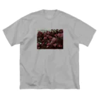 adkmameのなんかエモい　薔薇 ビッグシルエットTシャツ