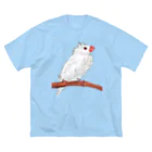 Lily bird（リリーバード）の水浴び文鳥 カラー ビッグシルエットTシャツ