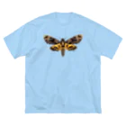 insectech.comのクロメンガタスズメ Big T-Shirt