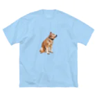 愛犬太郎のグッズの黄昏太郎【柴犬】 ビッグシルエットTシャツ