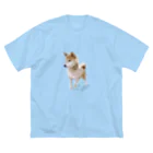 愛犬太郎のグッズの歩く太郎イラスト風【柴犬】名前入り Big T-Shirt