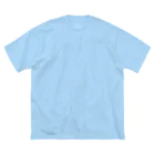 RMk→D (アールエムケード)の逆扇 桜 ビッグシルエットTシャツ