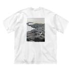 富士山の猫と海と猿島 ビッグシルエットTシャツ