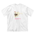 オロシアン2世の猫は愛する ビッグシルエットTシャツ