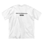 ataokaFunctionのataoka オシャンt Big T-Shirt