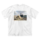 CRUISE SHIPのGibraltar UK ビッグシルエットTシャツ