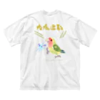 小桜森の「疫病退散」祈願コザクラ（パイド） Big T-Shirt