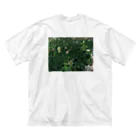 植物観察の身近な植物観察 ビッグシルエットTシャツ