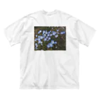 植物観察のネモフィラって可愛い。 Big T-Shirt