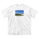 non_no_shopの歩くペンギンたち Big T-Shirt