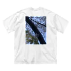 自分が欲しいTシャツを作る会の桜と青空 Big T-Shirt