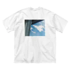 kota nakagawaのBLANK #3 Big T-Shirt