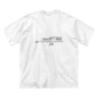 2-718の解の公式 Big T-Shirt