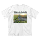 クックコッシ商会の夏の夕焼けシリーズ Big T-Shirt