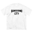 JIMOTOE Wear Local Japanの豊後大野市 BUNGO OHNO CITY ビッグシルエットTシャツ