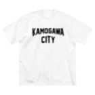JIMOTOE Wear Local Japanの鴨川市 KAMOGAWA CITY ビッグシルエットTシャツ