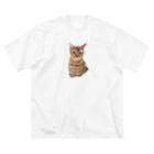 A.R.I.S.Aの猫といっしょT ビッグシルエットTシャツ