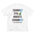 【SALE】Tシャツ★1,000円引きセール開催中！！！kg_shopのイバラギ じゃなくて イバラキ！！！ ビッグシルエットTシャツ