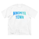 JIMOTOE Wear Local Japanの二宮町 NINOMIYA TOWN ビッグシルエットTシャツ