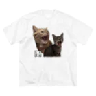 蒲田コージン猫院🐈‍⬛心霊内科👼のリアル副助手's Big T-Shirt