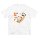 toriten屋のハイエナさん（推しは栄養ですver) ビッグシルエットTシャツ