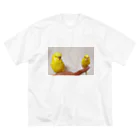 s301149のルチノーインコ Big T-Shirt