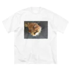 ぶちゃ猫・茶々丸オフィシャルショップのぶちゃ猫・茶々丸 Big T-Shirt