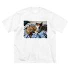 笛ガムの寝床犬 ビッグシルエットTシャツ