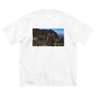 D-aerialの妙義山 ビッグシルエットTシャツ