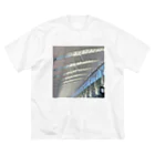 リューカデンドロンの空港 ビッグシルエットTシャツ